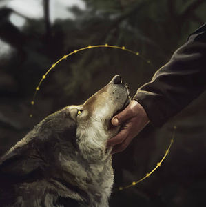 Meet your Posher, Jose